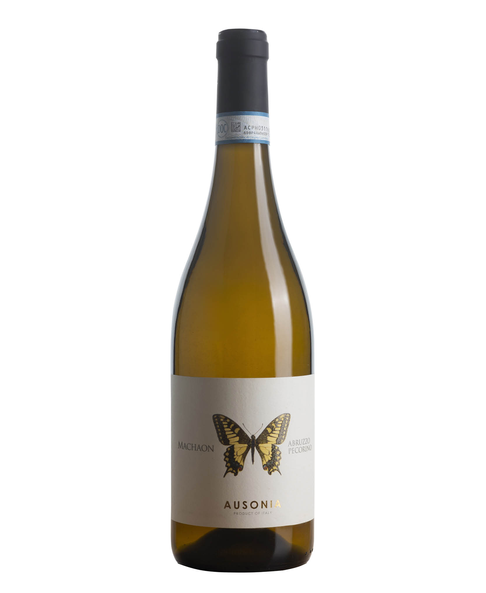 Anfora Machaon PECORINO COLLI APRUTINI NonFiltrato BIO*