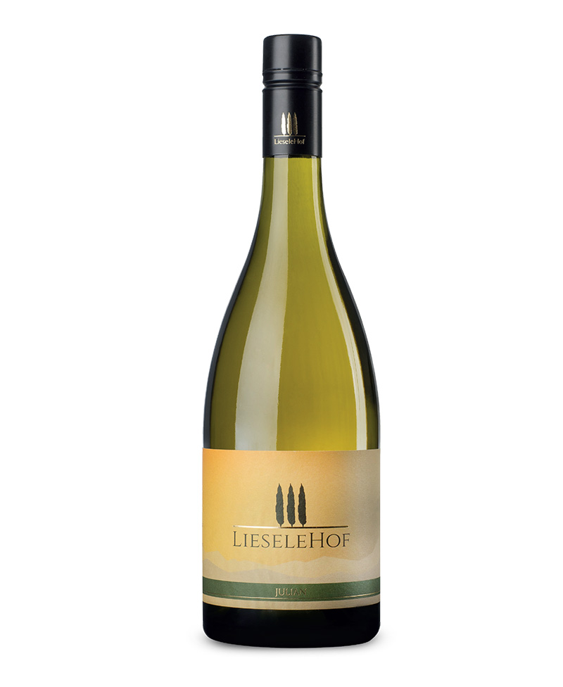 BRONNER Julian Tappo Vite BIO*