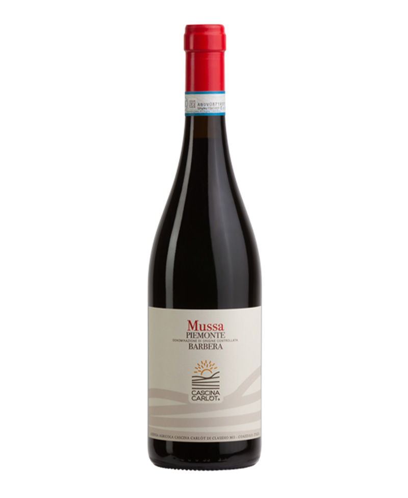 BARBERA FRIZZANTE Mussa