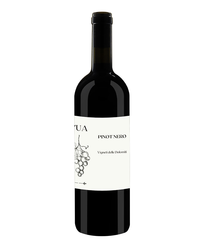 PINOT NERO