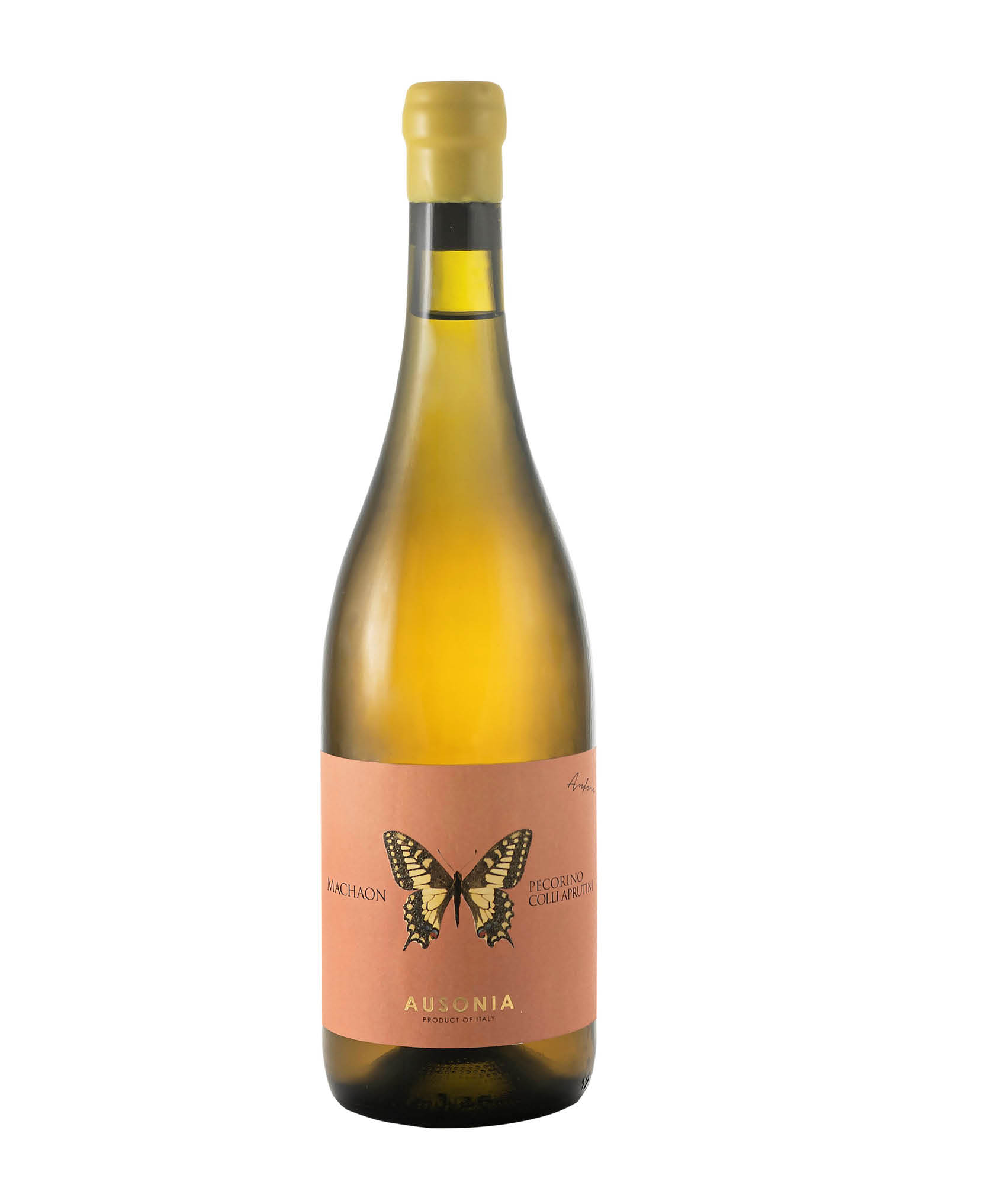 Anfora Machaon PECORINO COLLI APRUTINI NonFiltrato BIO*