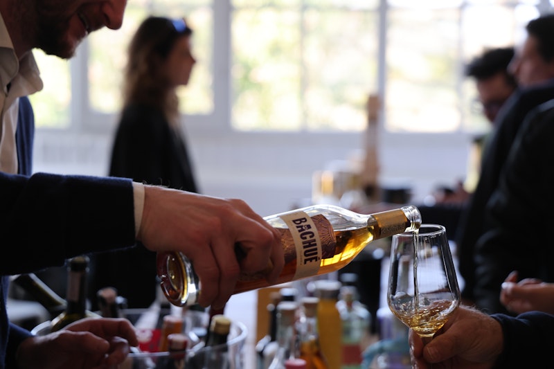 Degustiamo Insieme Marche Nord