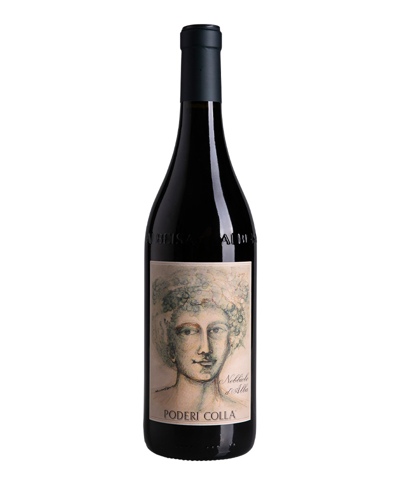 NEBBIOLO D'ALBA Drago