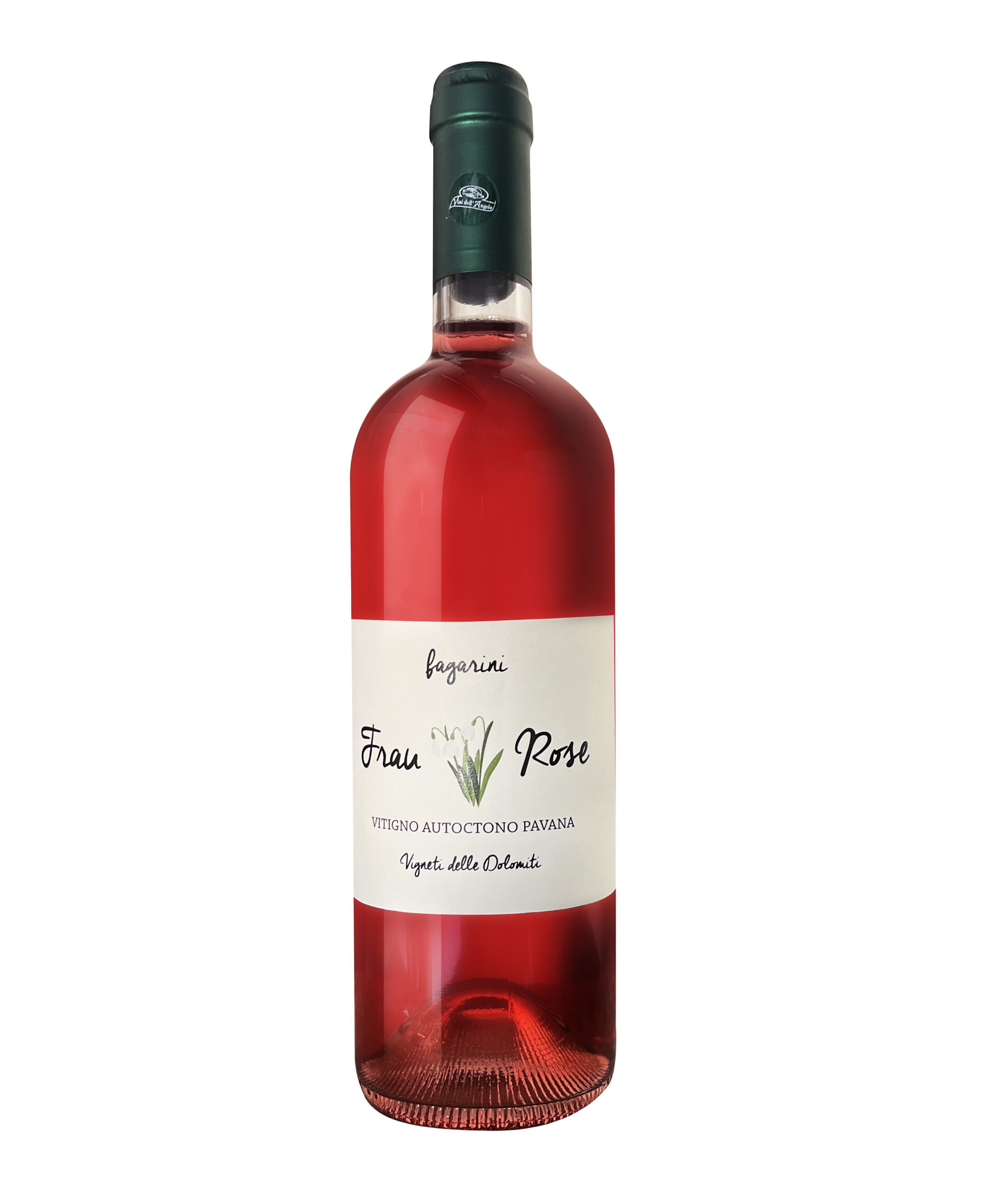 PAVANA ROSATO Frau Rose