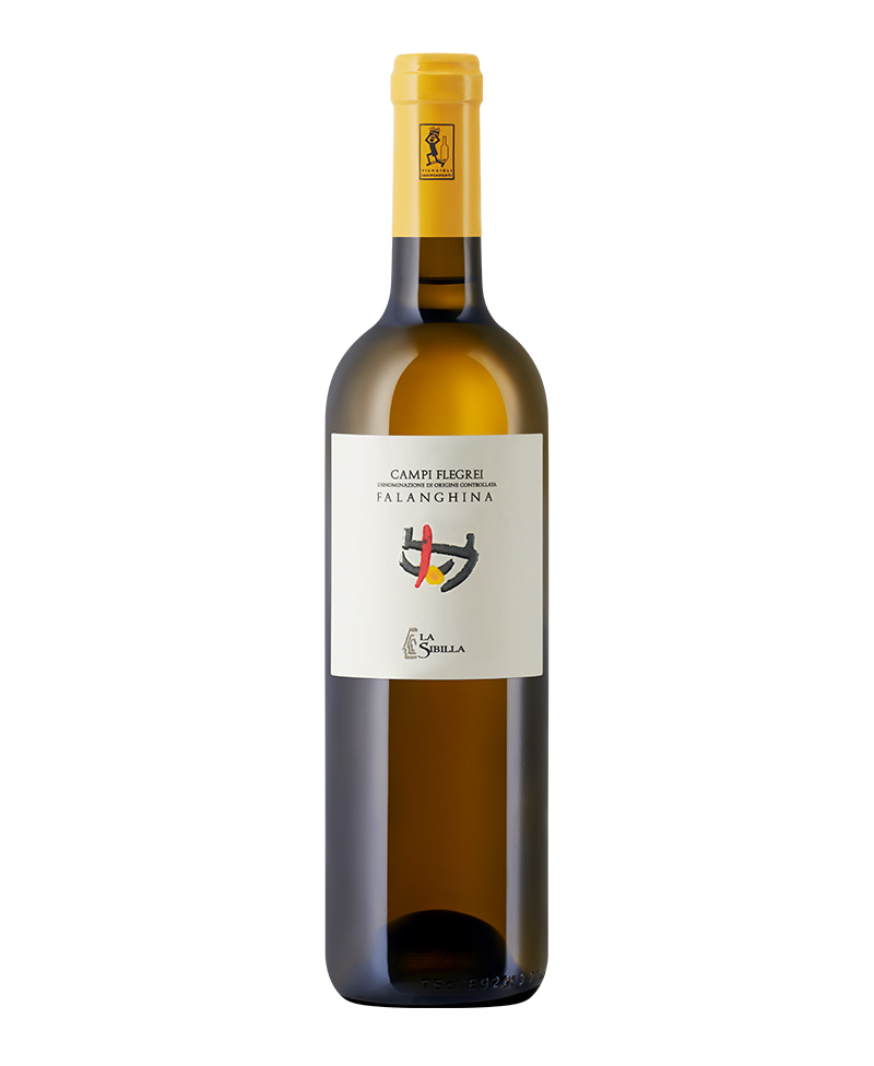 FALANGHINA CAMPI FLEGREI