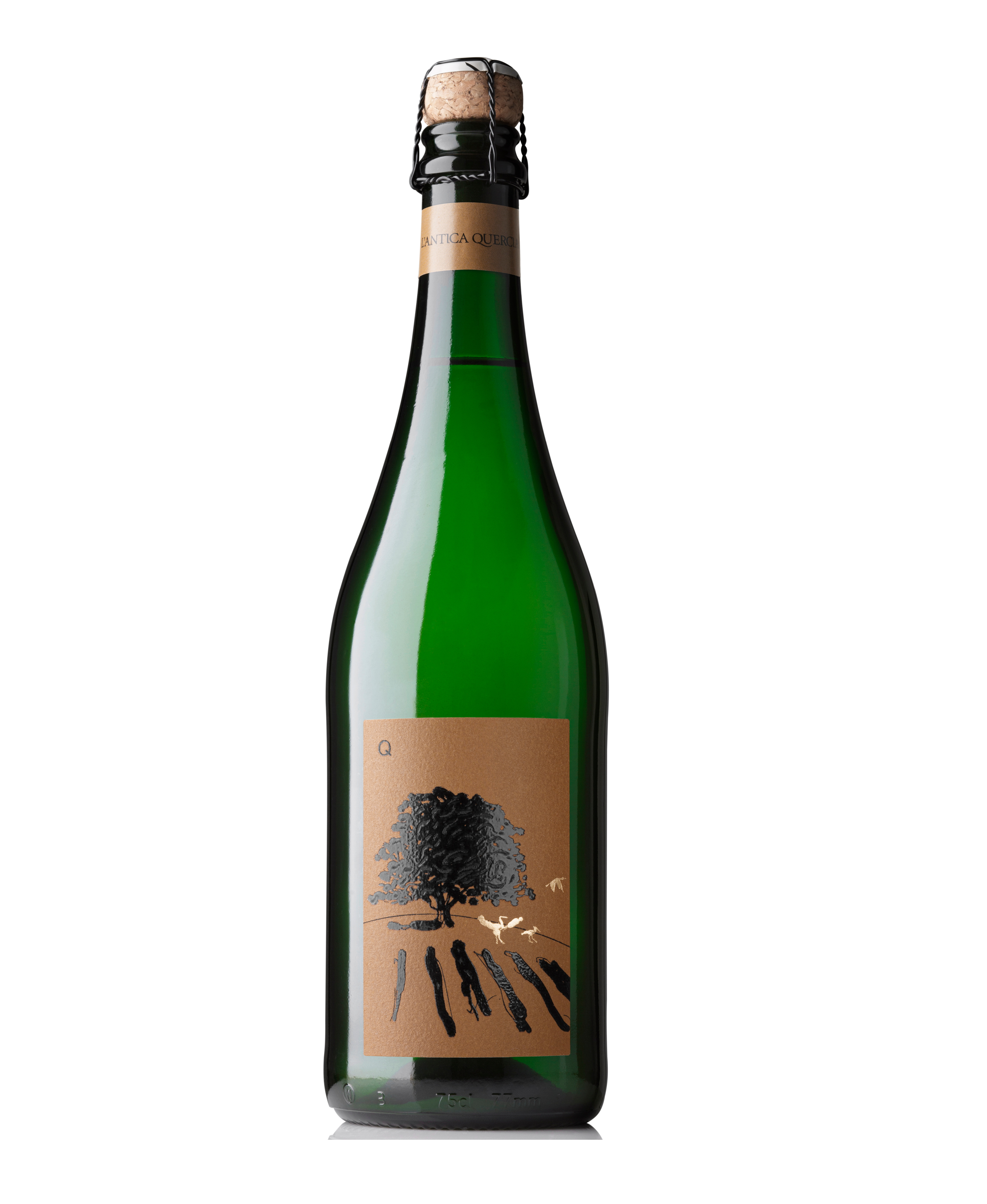 Q FRIZZANTE MACERATO COLFONDO M.F. BIO*L'Antica Quercia