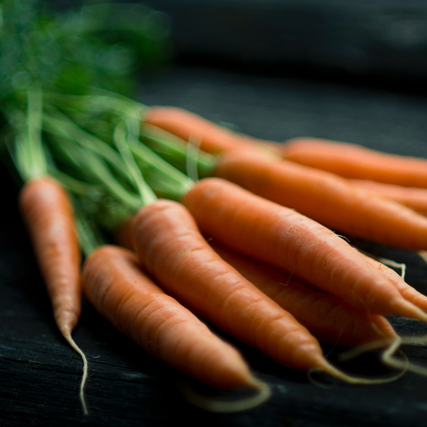 Close up of fresh carrots laying on dark table.