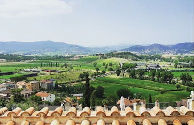Panorama