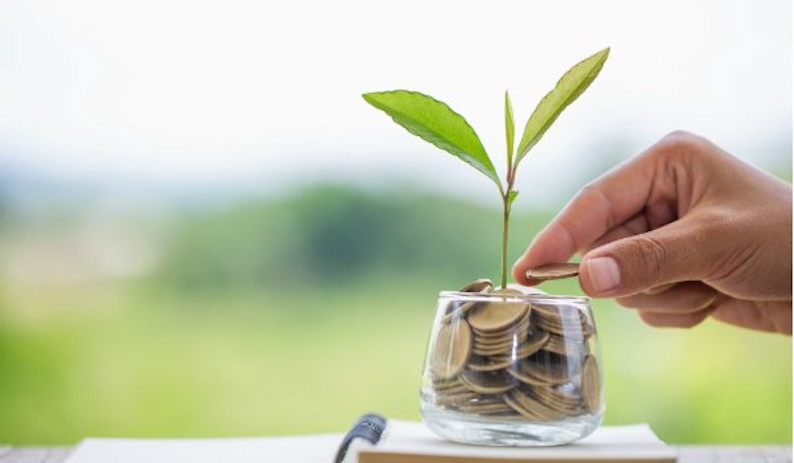 Rendicontazione Report Integrato