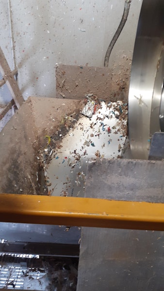 Plastic contamination