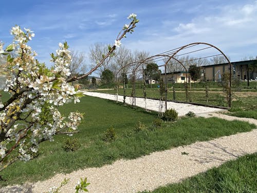 Moderna park in evoluzione