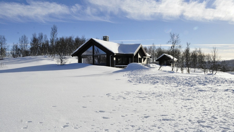 Knutstølshovda, Ål
