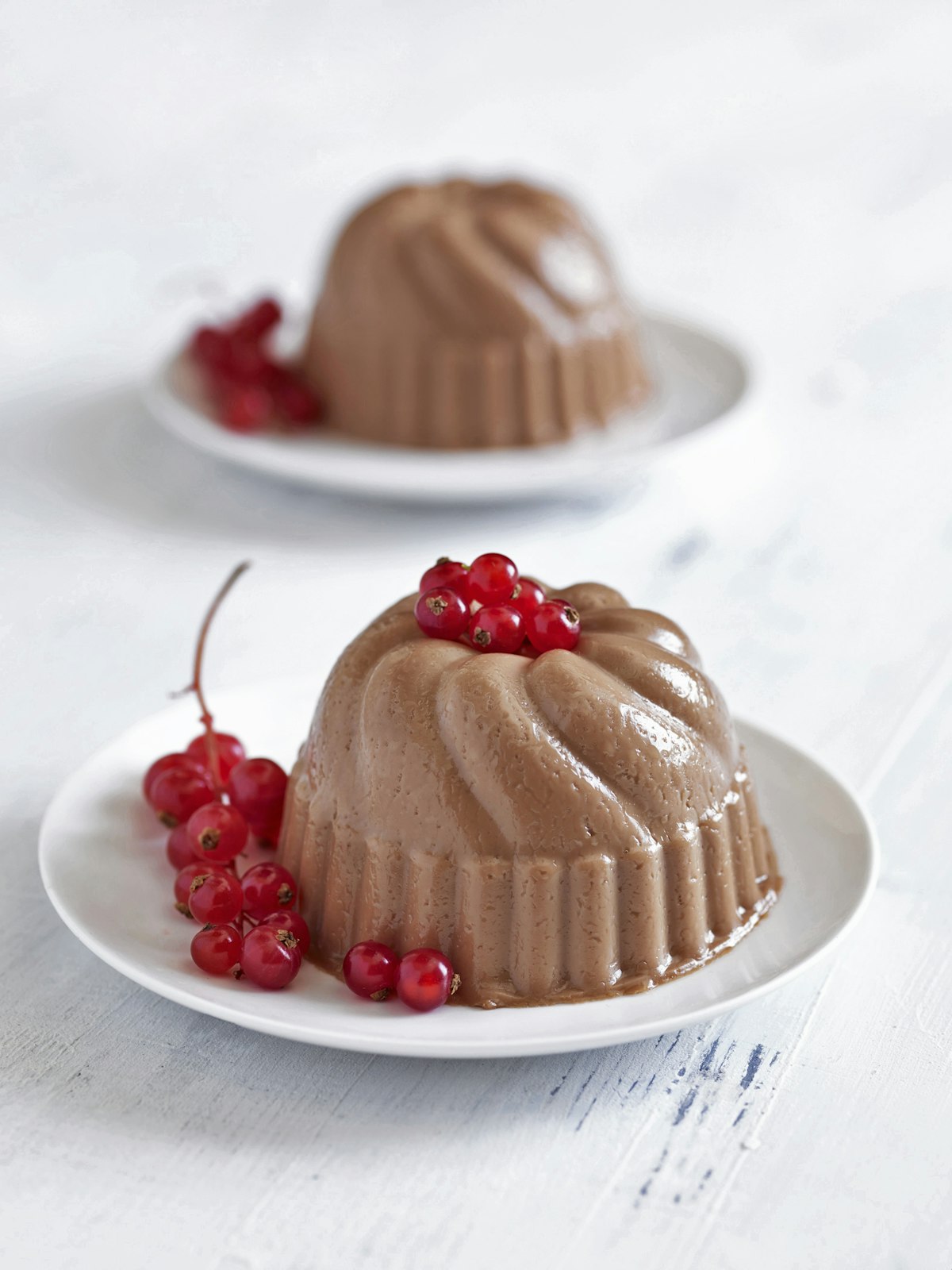 Chocolate Coconut Panna Cotta — Guittard