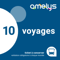 Ticket 10 voyages