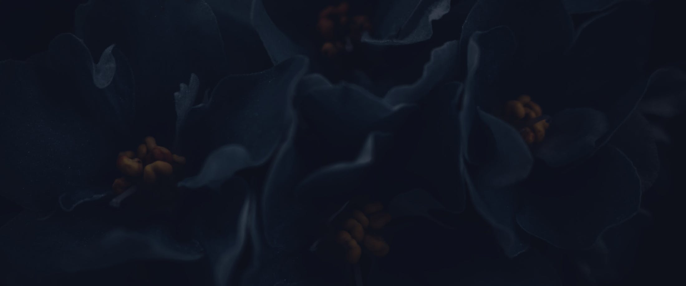 Banner media