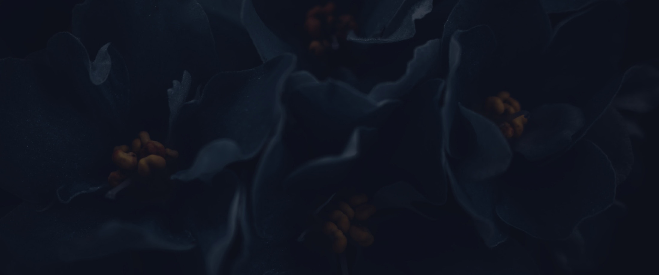 Banner media