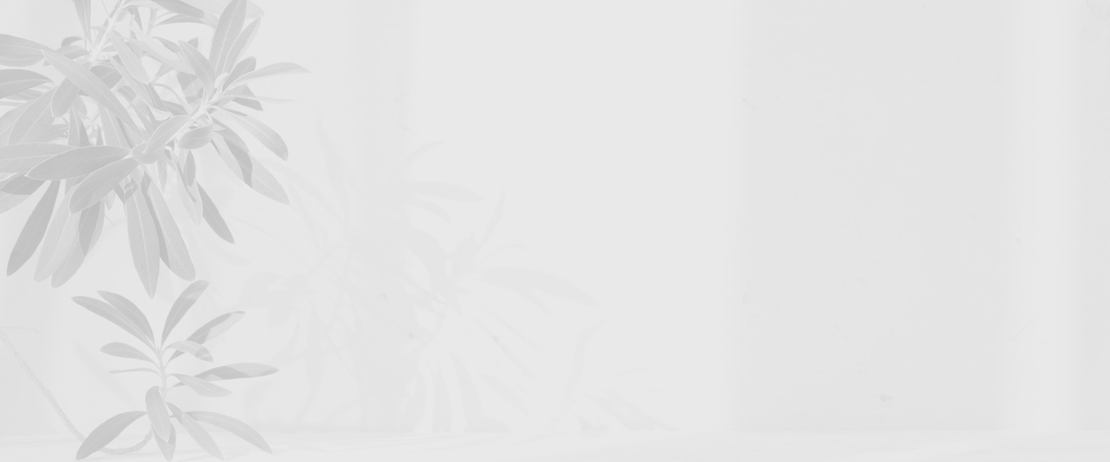 Banner media