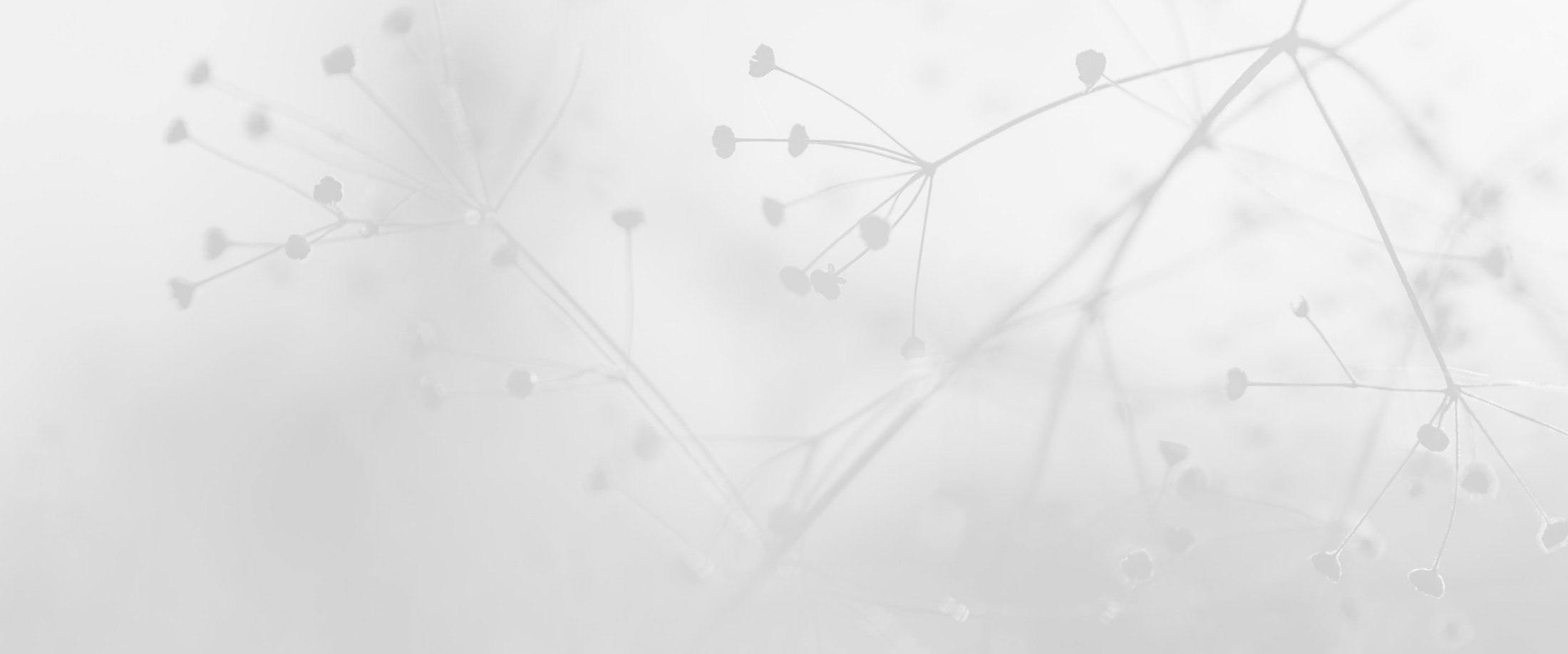 Banner media