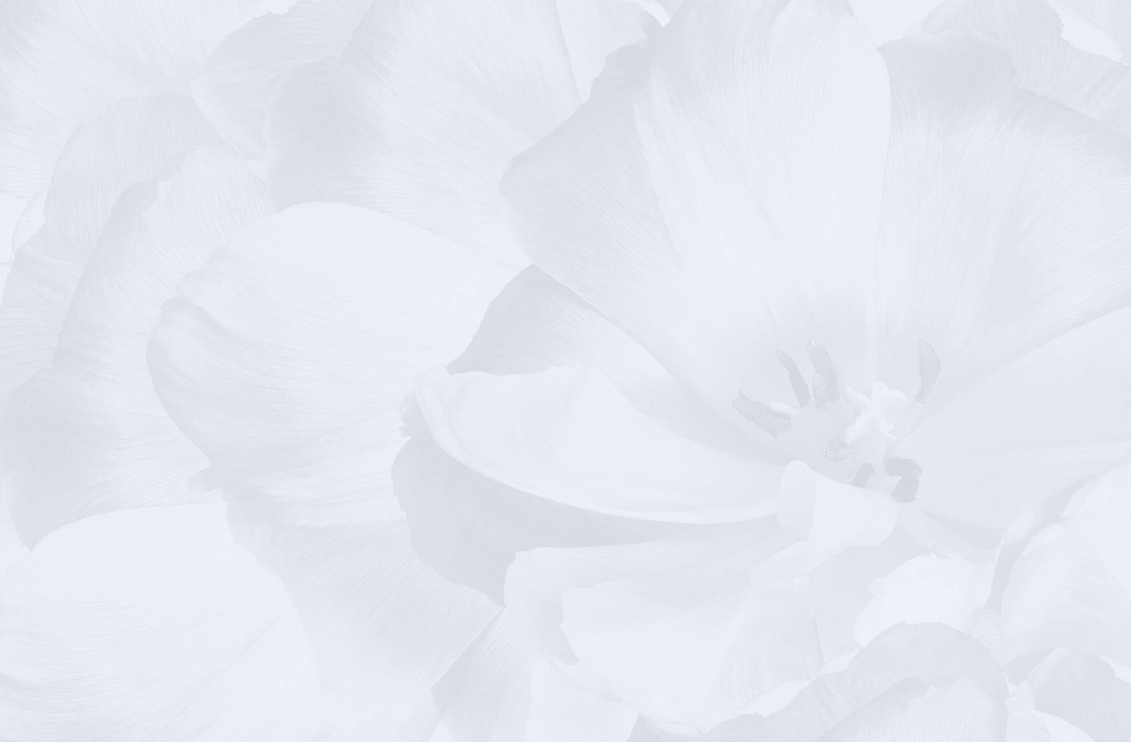 Background media