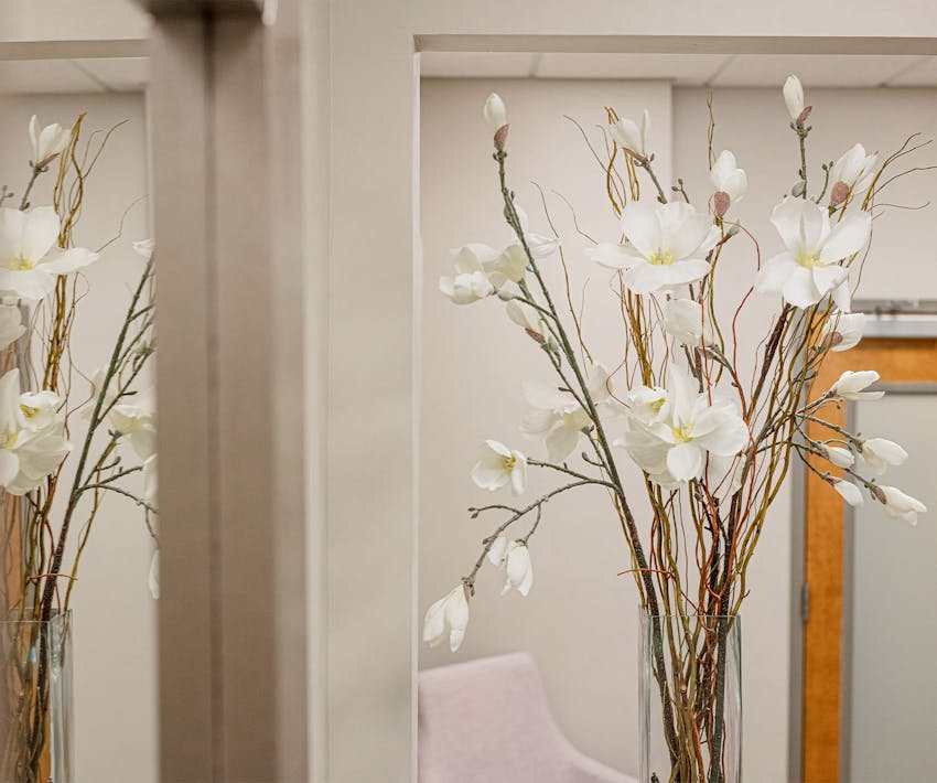photo of flowers in office