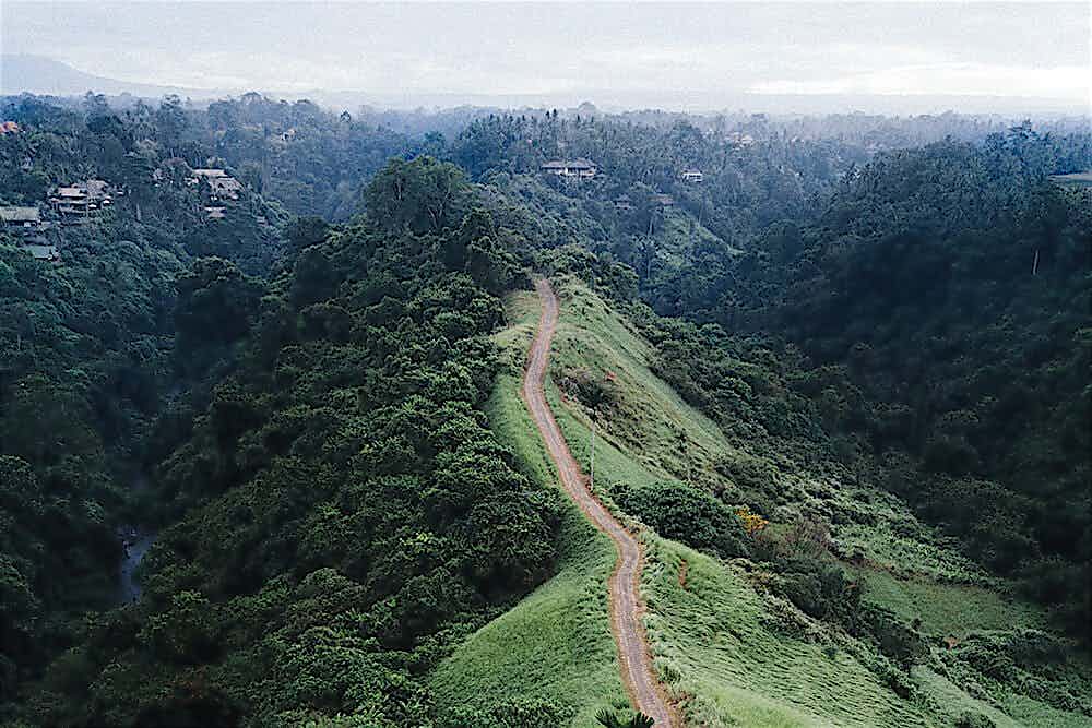 Natur Ansicht von Berg und Wäldern