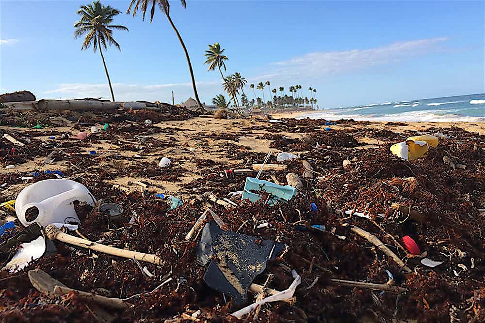 Angeschwemmter Müll auf tropischem Strand