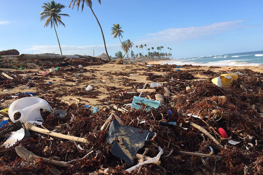 Angeschwemmter Müll auf tropischem Strand