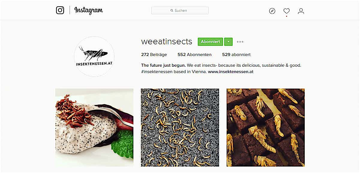 Insektenessen Instagram Profil
