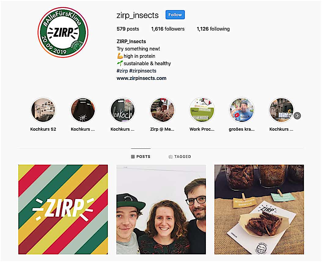 Zirp Instagram Profil