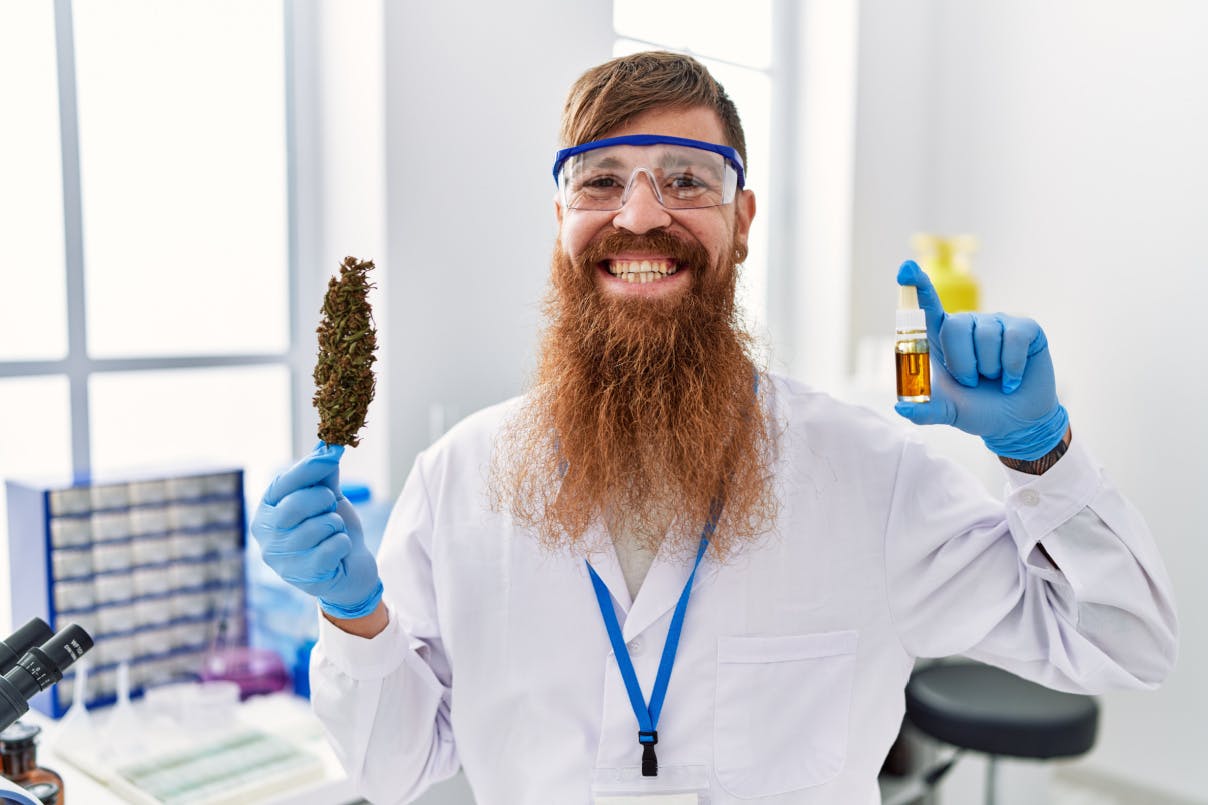CBD-Herstellung im Labor CBD-Herstellung im Labor