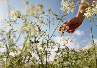 Die Umgebung des Appenberg Hoteldorfes lädt zur Berührung mit der Natur ein.