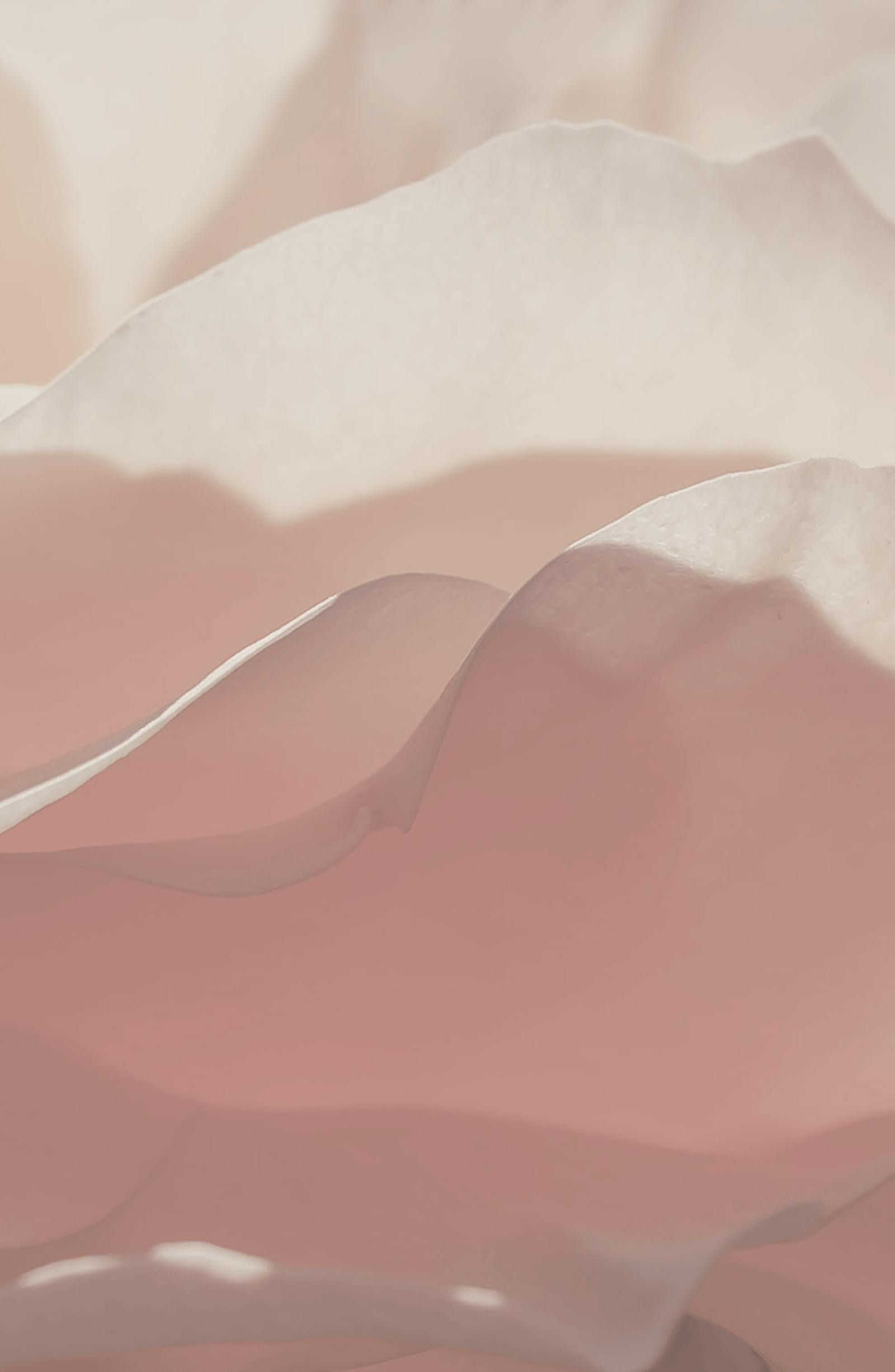 weight loss treatments media