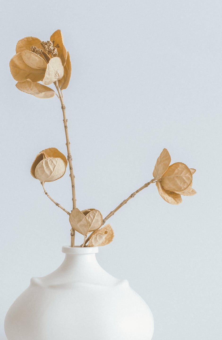 white vase with beige flowers