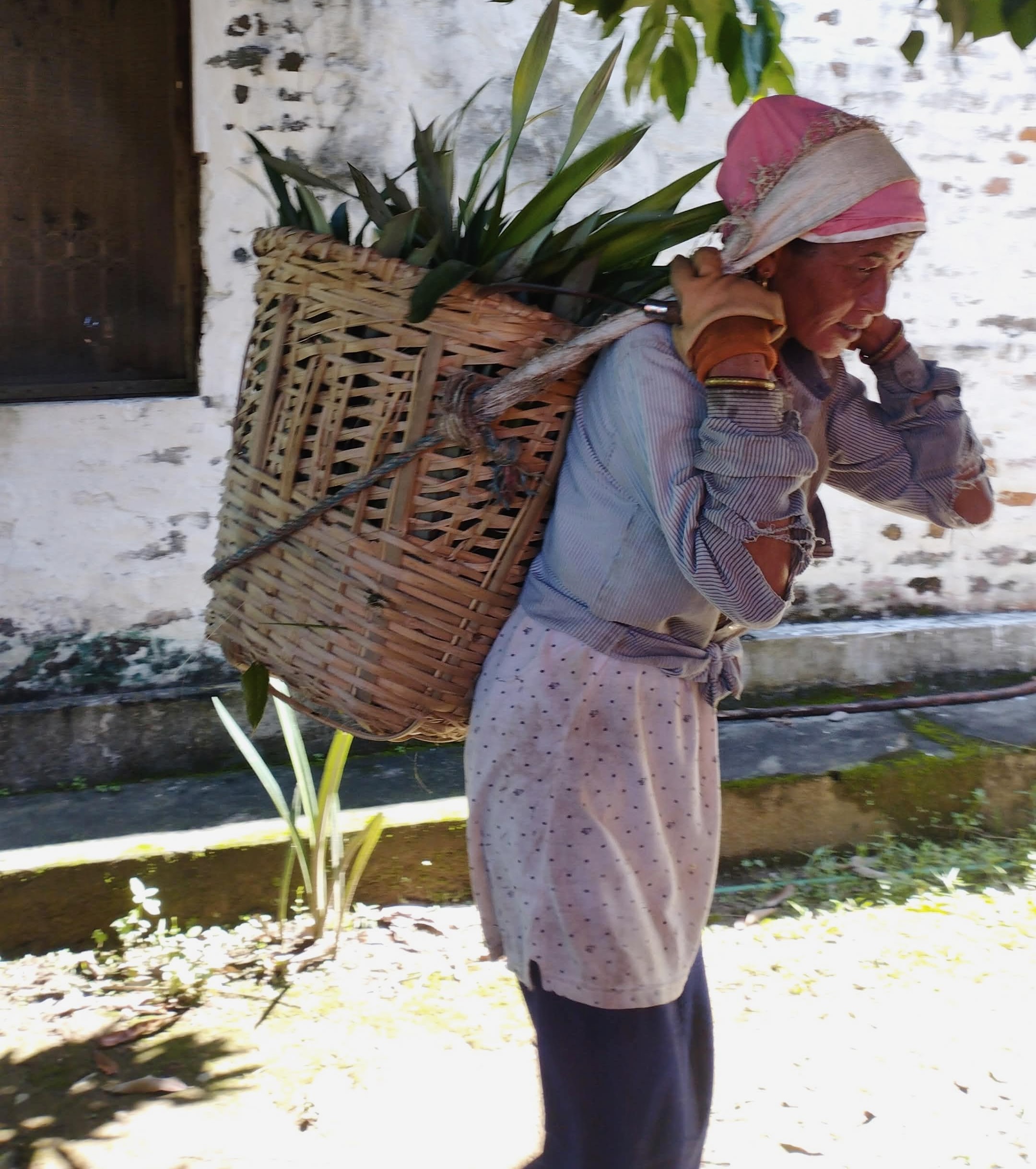 farmer