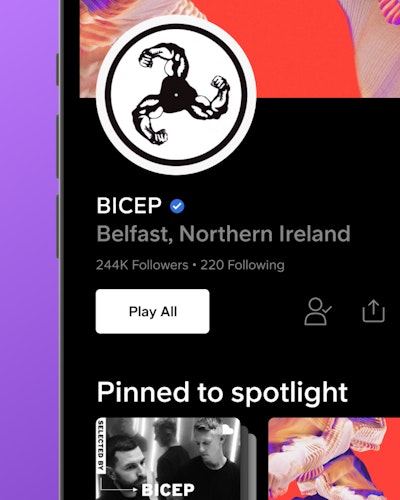 User Profile of Bicep