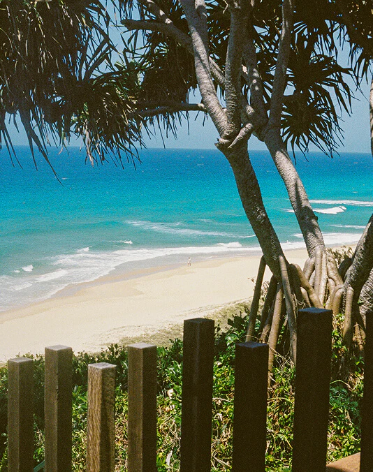 fence