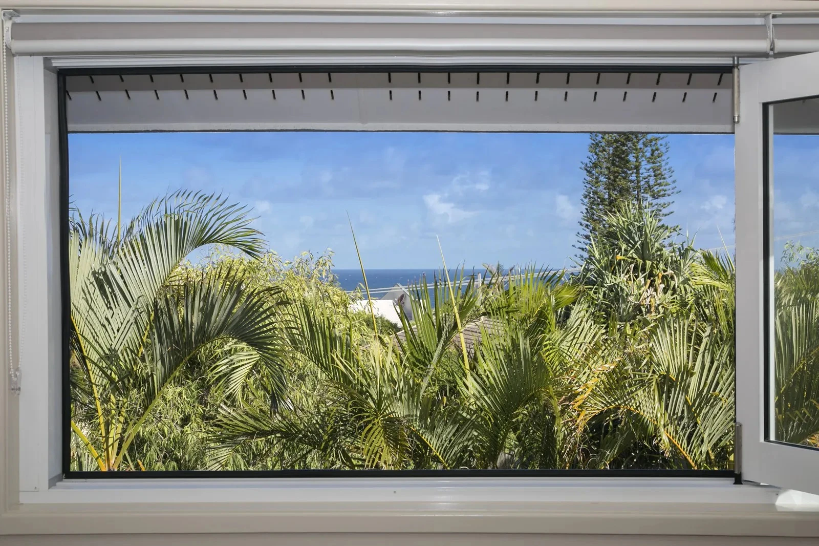 window