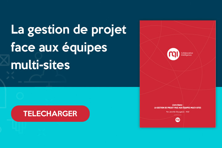 telecharger le livre blanc sur le mode projet et la gestion de projet multisites