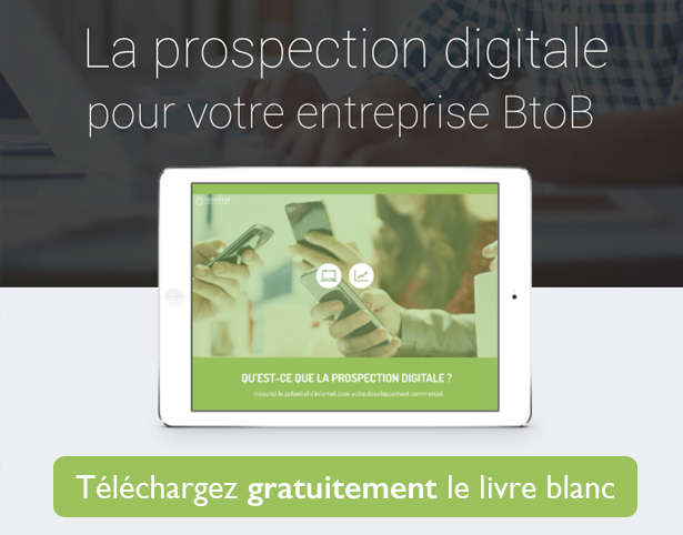 Livre blanc sur la prospection digitale pour votre entreprise BtoB à télécharger gratuitement