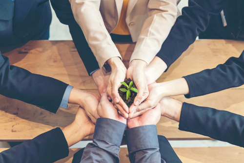 lead nurturing : cultiver la relation client