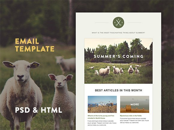 Web Design Ledger : 15 templates célèbres