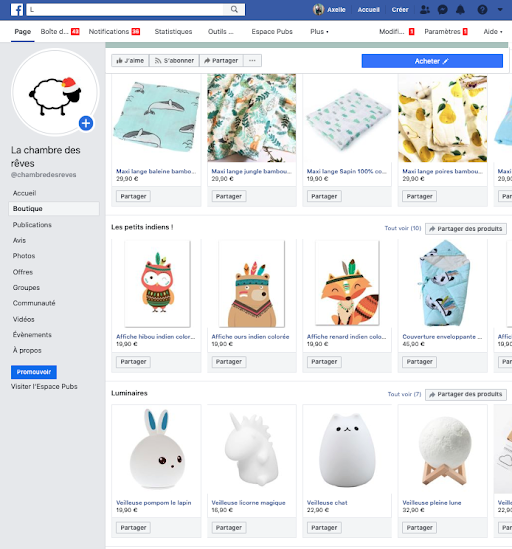 Vendre en ligne : exemple de e-boutique sur facebook