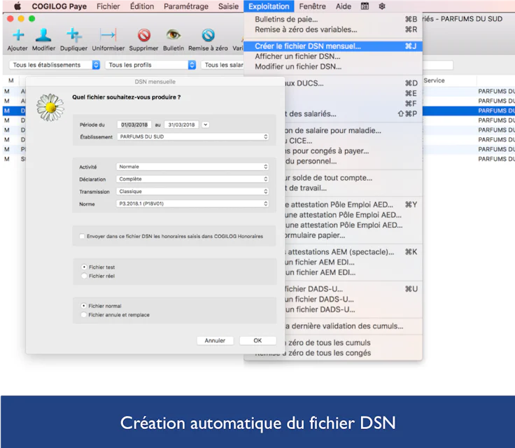 Fichier DSN avec logiciel paie COGILOG Paye