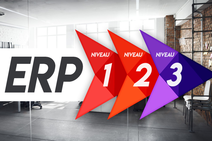 ERP de niveau 1, 2 et 3 : quelles différences ? Quelle est la différence entre les ERP de niveau 1, 2 et 3 ?