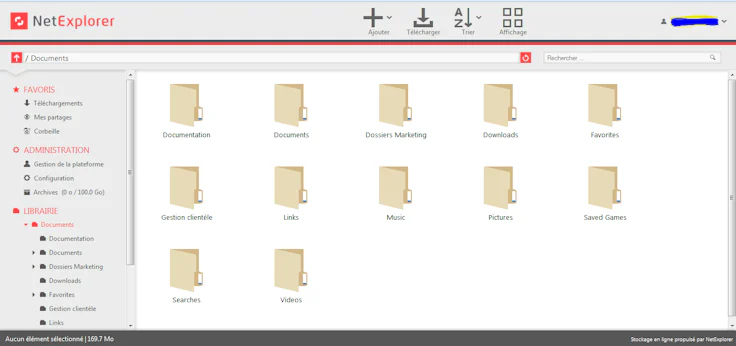 outils de pilotage de projet : visuel NetExplorer