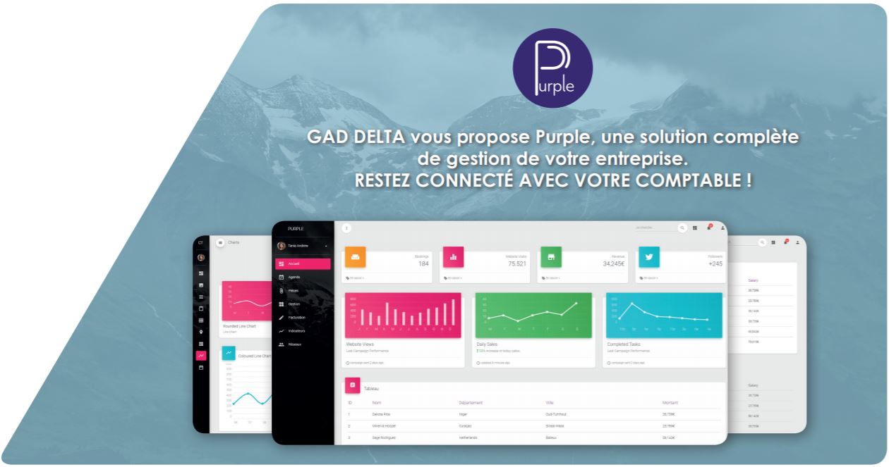 Logiciel comptable expert comptable Purple