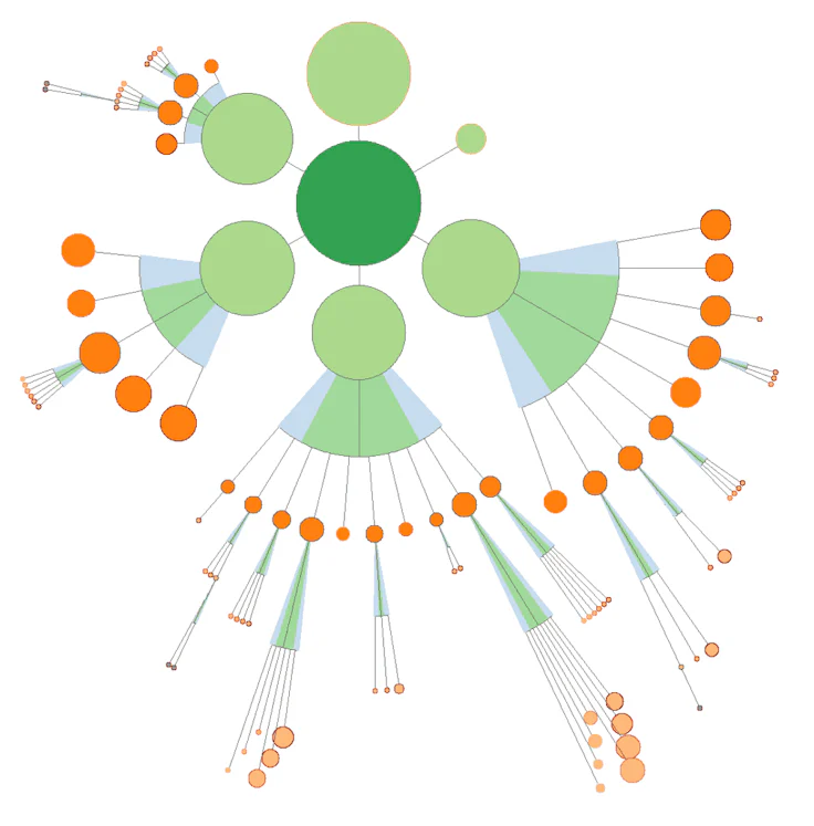 audit de contenu avec l'outil SEO cocon.se