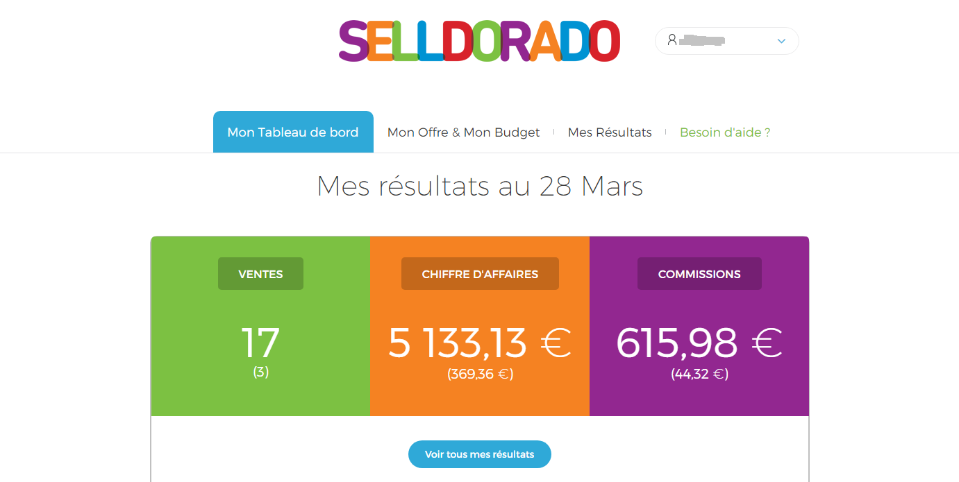 agence adwords Selldorado