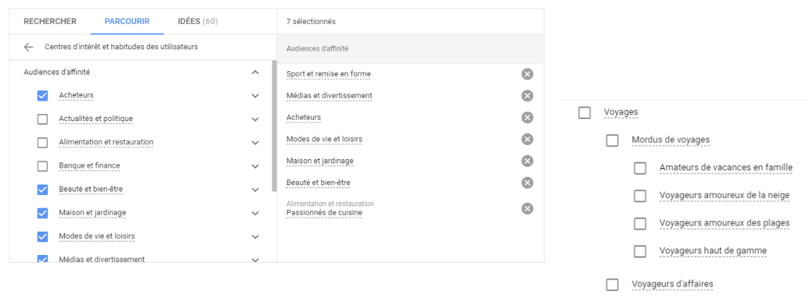 Exemple d'audience par affinités