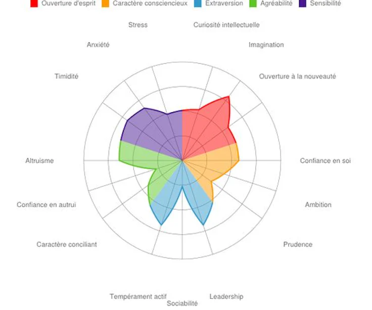 4 exemples tests de personnalité professionnels : MBTI, comportement